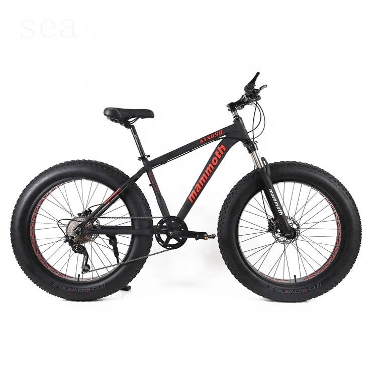 Aluminium frame fat tire mountain bike, MTB folding big type bicycle for sale