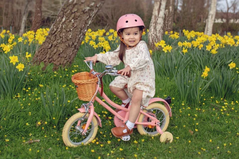 basket for bikes,custom bike baskets,bicycle front basket